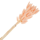 : букет из сухоцветов (лагурус кремовый)