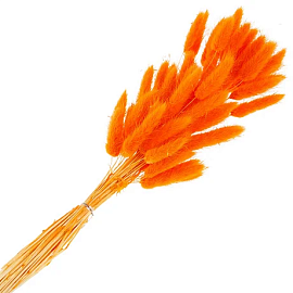 Букет из сухоцветов (лагурус оранжевый)