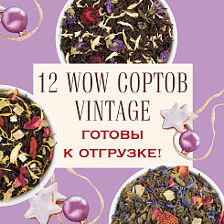 12 WOW сортов Vintage готовы к отгрузке!