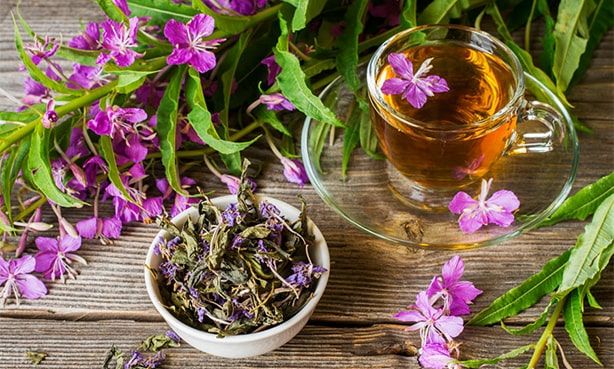 Иван чай - как влияет на давление